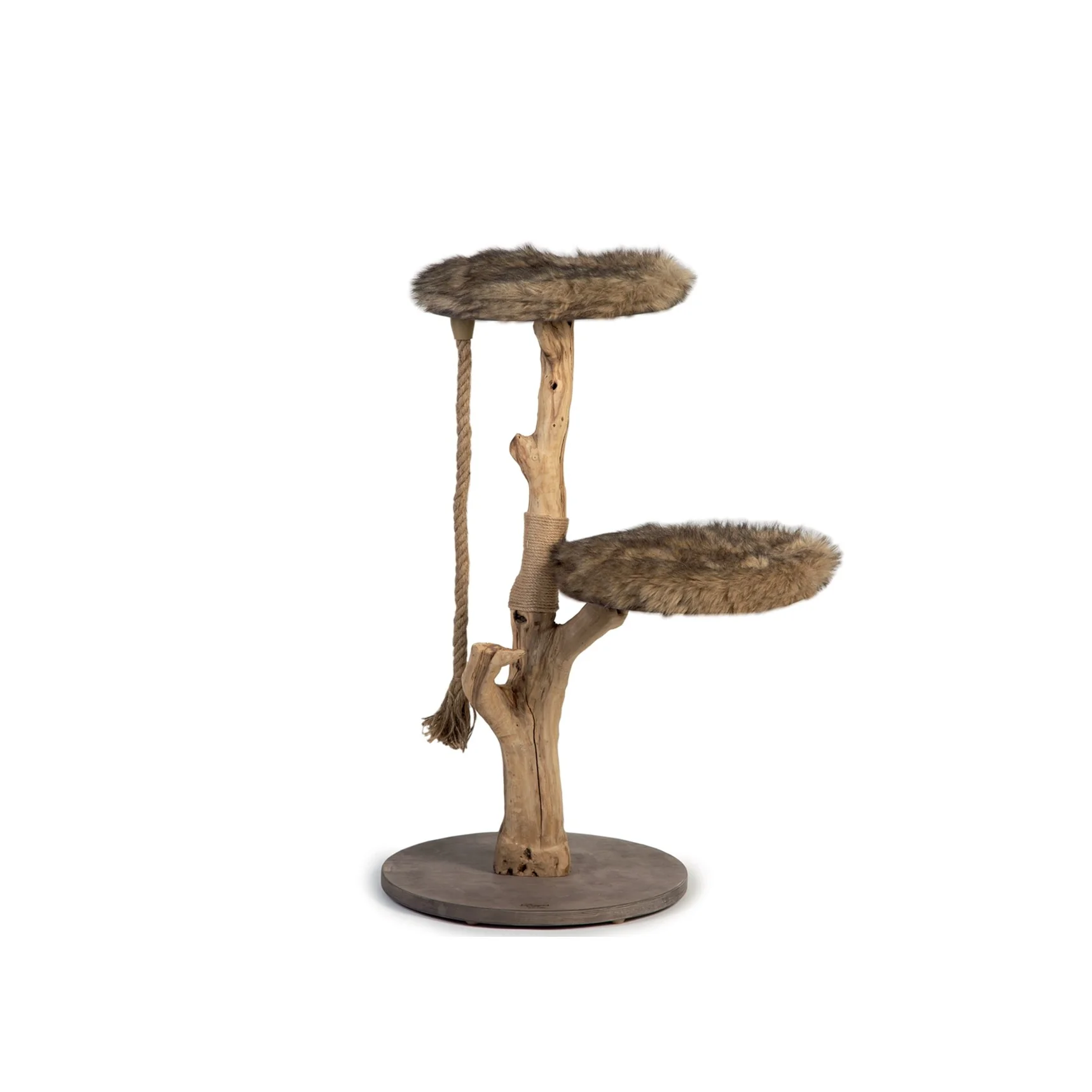 Miniature 2